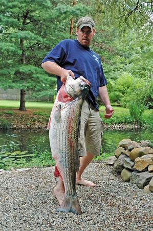 Click image for larger version. 

Name:	wr striiped bass5.jpg 
Views:	2 
Size:	74.0 KB 
ID:	13876