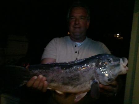 Click image for larger version. 

Name:	blackfish nj 10-28-11 7lbs 22.5 inches.jpg 
Views:	2 
Size:	58.2 KB 
ID:	14378