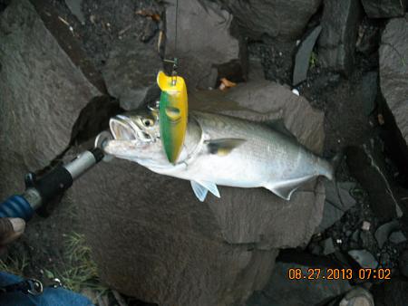 Click image for larger version. 

Name:	H-H fishy stuff pix 055.jpg 
Views:	3 
Size:	67.7 KB 
ID:	17504